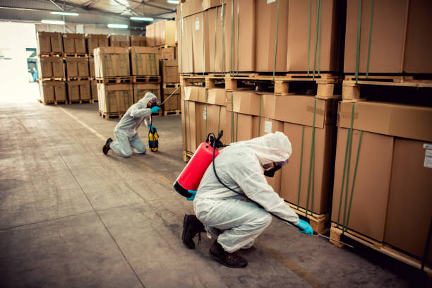 Best Pest Prevention Services  in Linden, TN