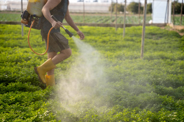 Pest Prevention Services in Linden, TN