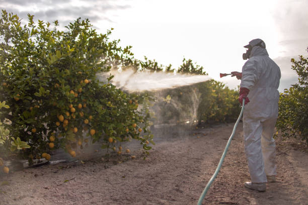 Insect Control in Linden, TN