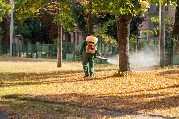 Best Commercial Pest Control Services  in Linden, TN