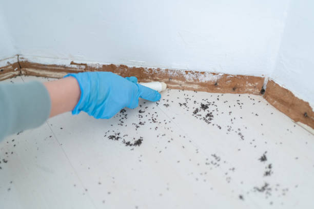 Best Residential Pest Control  in Linden, TN